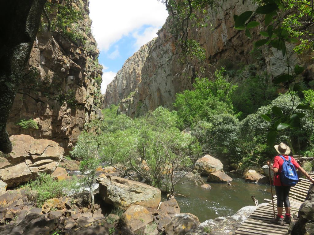 Rabids in the gorge